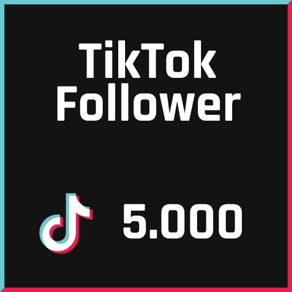 followerpilot-tiktok-follower-5000.jpg