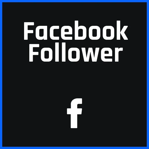 followerpilot-facebook-follower.webp